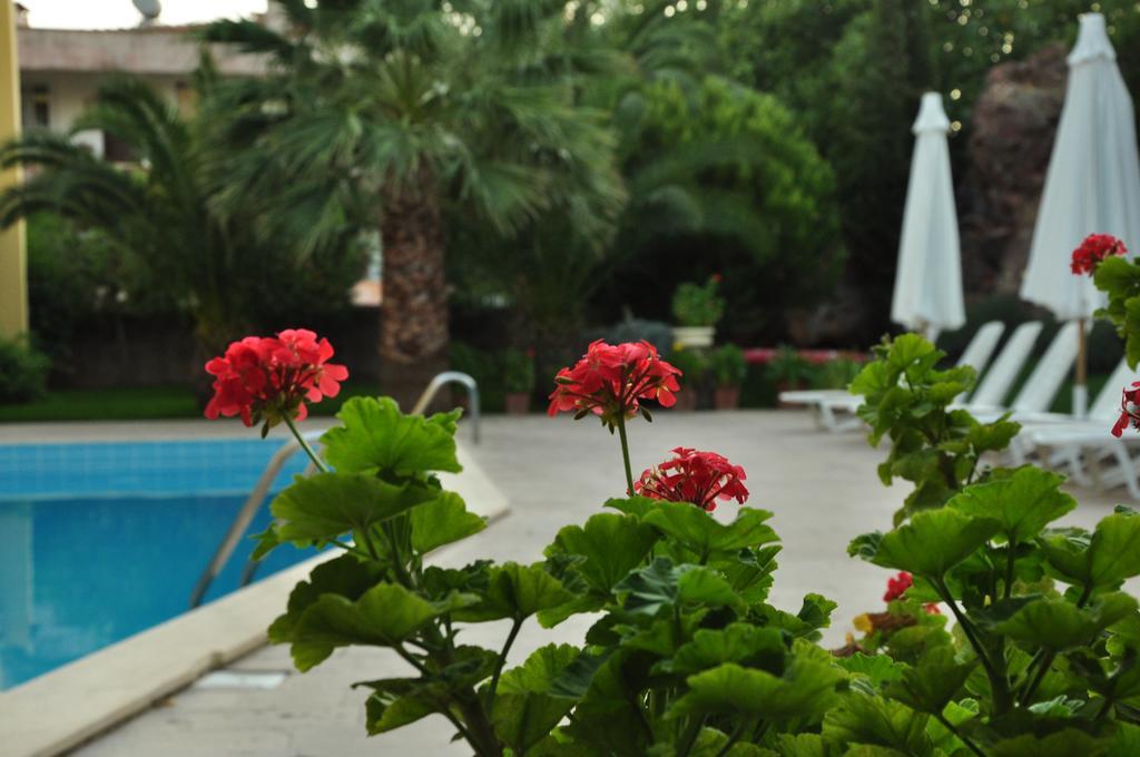 Palm Court Suites Ayvalik Exterior photo