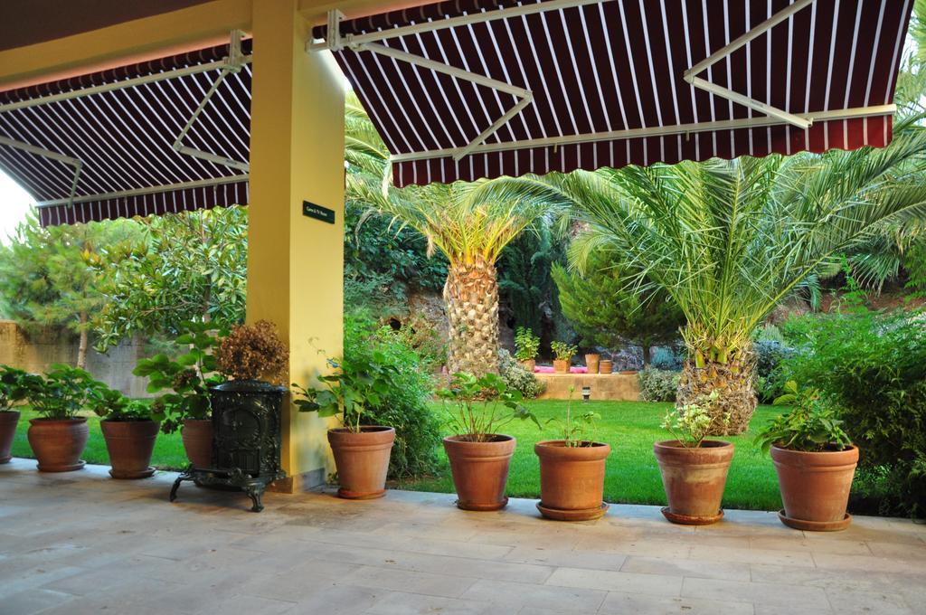 Palm Court Suites Ayvalik Exterior photo