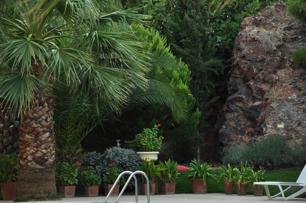 Palm Court Suites Ayvalik Exterior photo