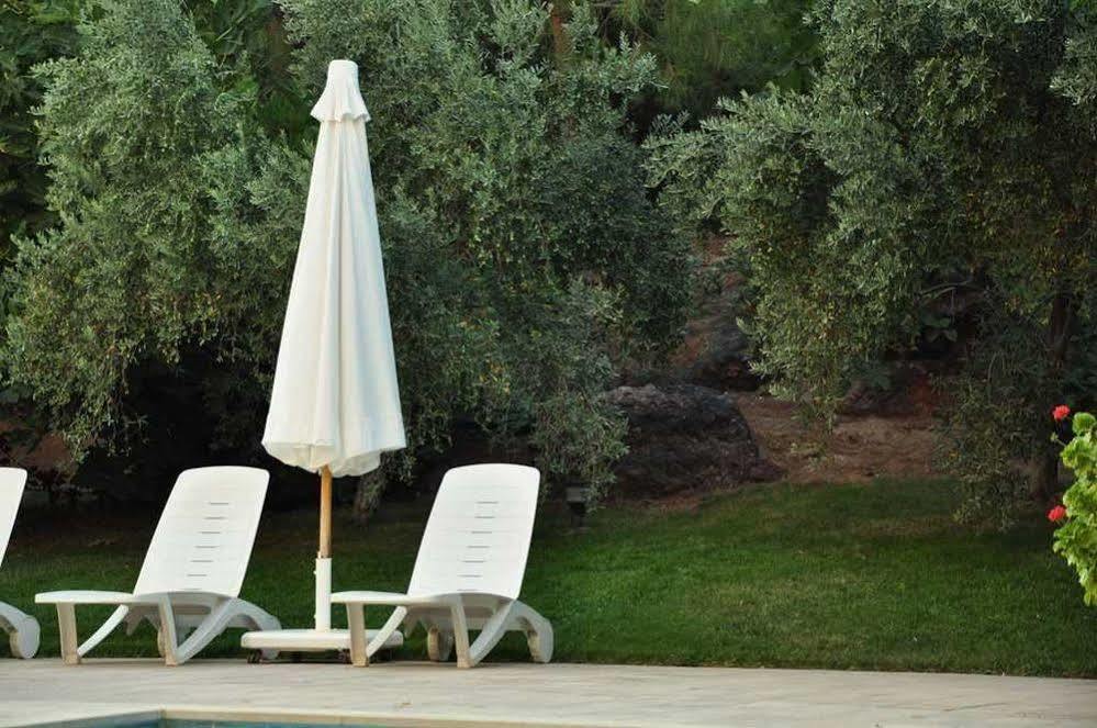 Palm Court Suites Ayvalik Exterior photo